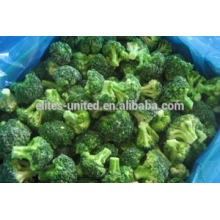 China frozen broccoli price